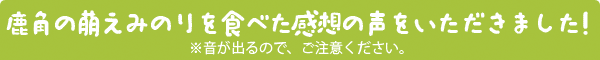 みのりんから応援の声をいただきました